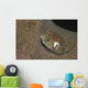 Juvenile Porcupinefish Swimming along Wall Decal
