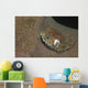 Juvenile Porcupinefish Swimming along Wall Decal