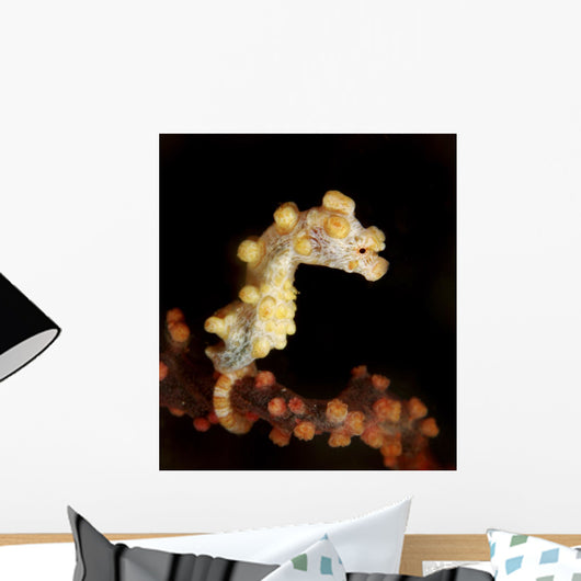 Side Small Yellow Pygmy Wall Decal