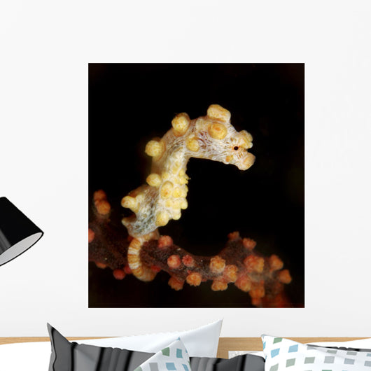 Side Small Yellow Pygmy Wall Decal