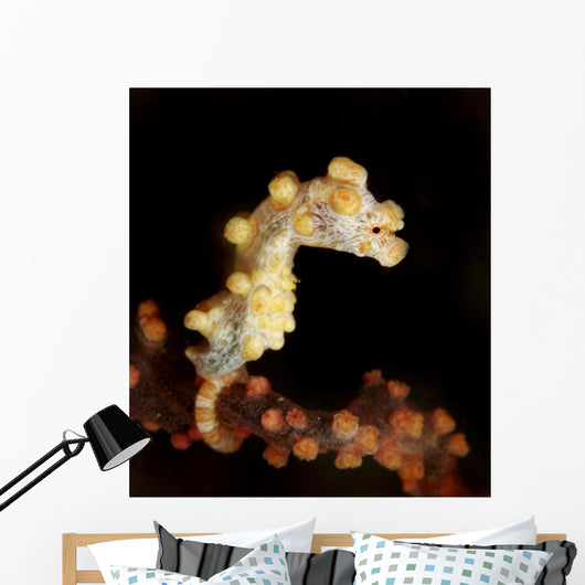 Side Small Yellow Pygmy Wall Decal