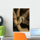 Juvenile Thorny Seahorse Hanging Wall Decal