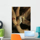 Juvenile Thorny Seahorse Hanging Wall Decal