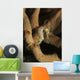Juvenile Thorny Seahorse Hanging Wall Decal