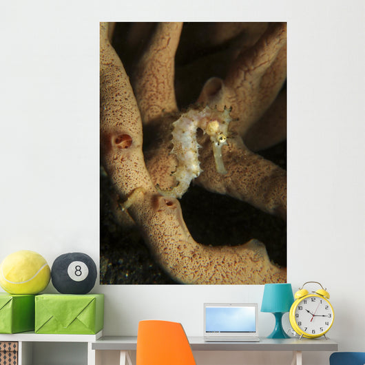 Juvenile Thorny Seahorse Hanging Wall Decal