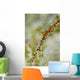 Head Portrait Translucent Red Wall Decal
