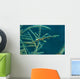 Ghost Pipefish Blending with Wall Decal