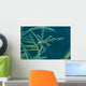 Ghost Pipefish Blending with Wall Decal
