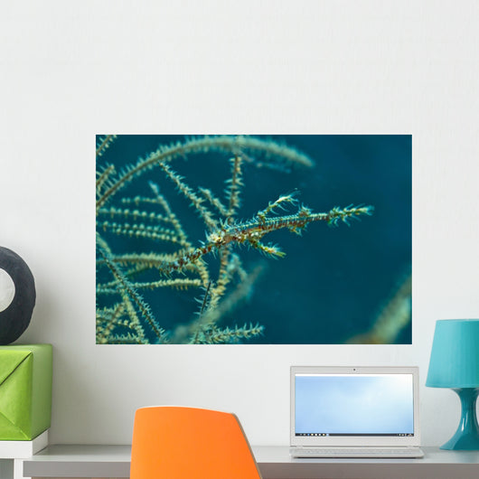 Ghost Pipefish Blending with Wall Decal