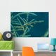 Ghost Pipefish Blending with Wall Decal