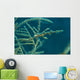 Ghost Pipefish Blending with Wall Decal