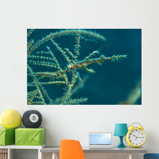 Ghost Pipefish Blending with Wall Decal