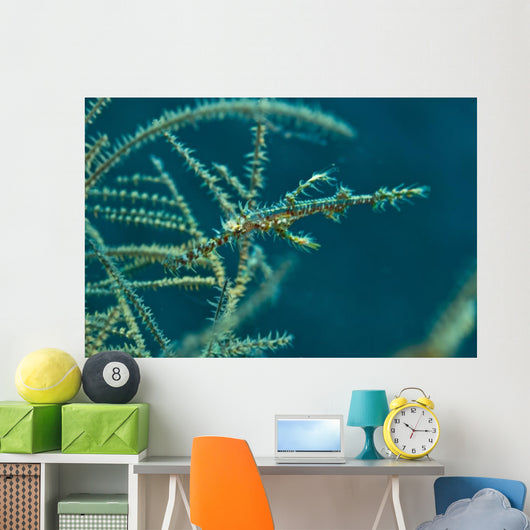 Ghost Pipefish Blending with Wall Decal