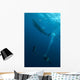 Divers Watching Whale Shark Wall Decal