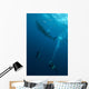 Divers Watching Whale Shark Wall Decal