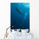 Divers Watching Whale Shark Wall Decal
