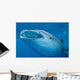 Close-up Whale Shark Swimming Wall Decal