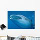 Close-up Whale Shark Swimming Wall Decal