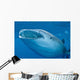 Close-up Whale Shark Swimming Wall Decal