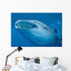 Close-up Whale Shark Swimming Wall Decal