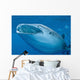 Close-up Whale Shark Swimming Wall Decal
