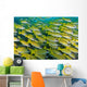 Large School Blue-lined Snapper Wall Decal