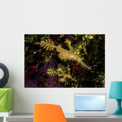 Juvenile Yellow and Red Wall Decal shown on a wall