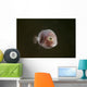 Tiny Pinkish Juvenile Filefish Wall Decal
