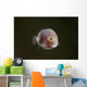 Tiny Pinkish Juvenile Filefish Wall Decal