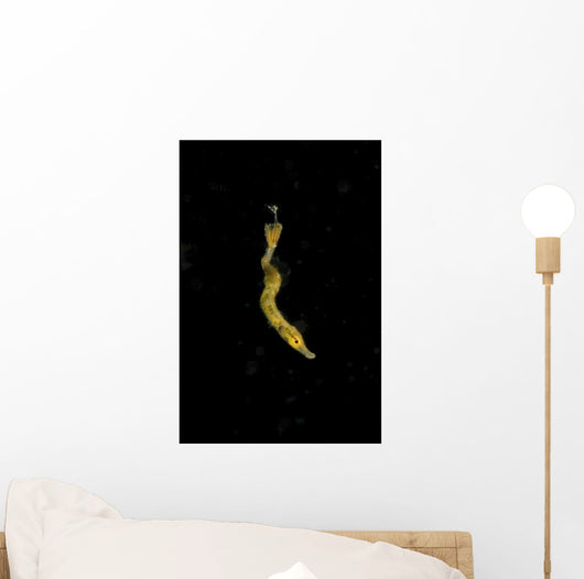 Unidentified Tiny Juvenile Yellow Vertical Wall Decal