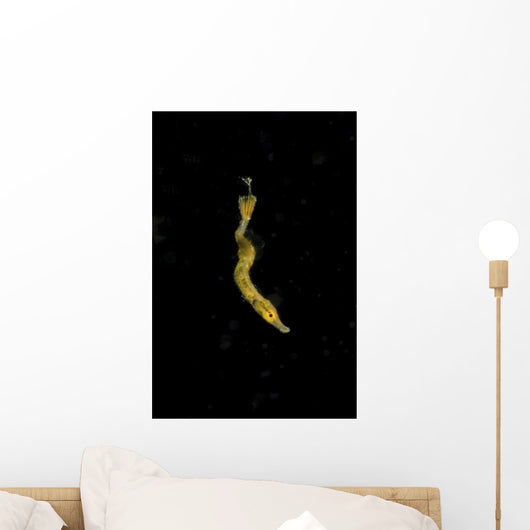 Unidentified Tiny Juvenile Yellow Vertical Wall Decal