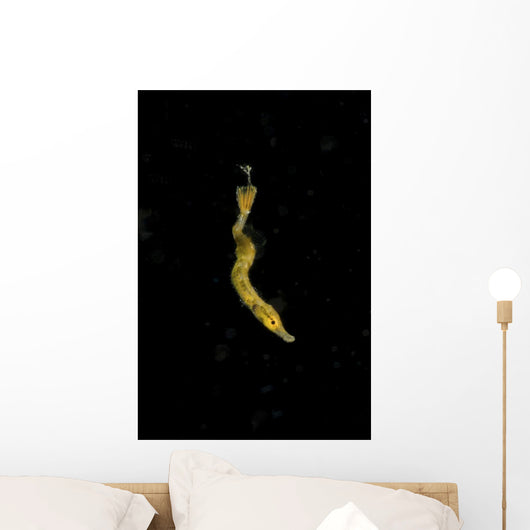Unidentified Tiny Juvenile Yellow Vertical Wall Decal