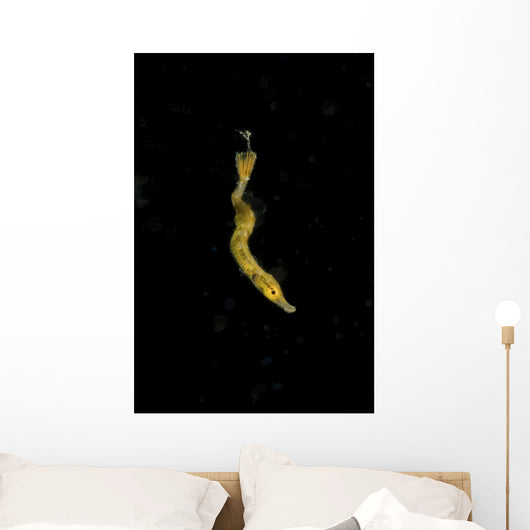 Unidentified Tiny Juvenile Yellow Vertical Wall Decal