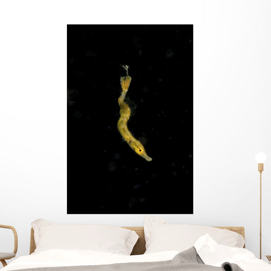 Unidentified Tiny Juvenile Yellow Vertical Wall Decal