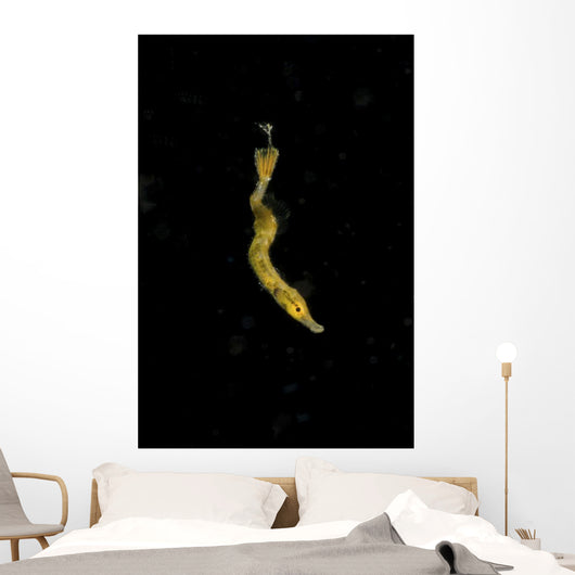 Unidentified Tiny Juvenile Yellow Vertical Wall Decal
