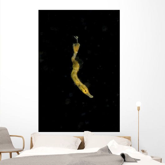 Unidentified Tiny Juvenile Yellow Vertical Wall Decal