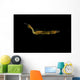 Unidentified Tiny Juvenile Yellow Wall Decal