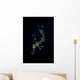 Transluscent Juvenile Harlequin Ghost Wall Decal