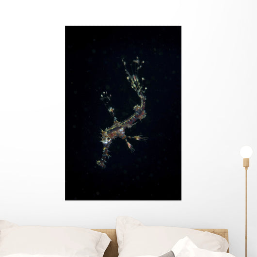 Transluscent Juvenile Harlequin Ghost Wall Decal