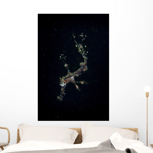 Transluscent Juvenile Harlequin Ghost Wall Decal