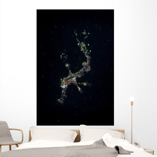 Transluscent Juvenile Harlequin Ghost Wall Decal