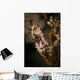 Large Mottled Thorny Seahorse Wall Decal