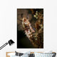 Large Mottled Thorny Seahorse Wall Decal
