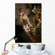 Large Mottled Thorny Seahorse Wall Decal