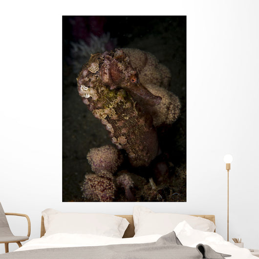 Side Portrait Mottled Seahorse Wall Decal