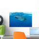 Whale Shark Swimming Wall Decal