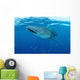 Whale Shark Swimming Wall Decal