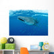 Whale Shark Swimming Wall Decal