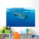 Whale Shark Swimming Wall Decal