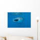 Whale Shark Swimming Open Mouth Wall Decal